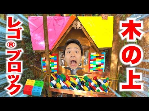 I spent an entire day in a LEGO treehouse!