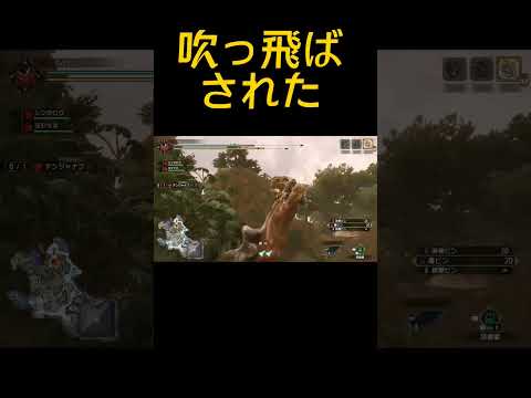 場外まで吹っ飛ばしてくるアンジャナフ【モンハンサンブレイク】#shorts #mhrise #モンハン