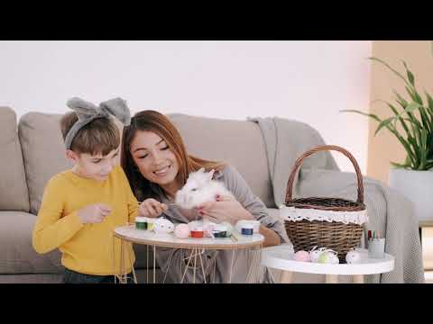 A boy feeding a rabbit with dried hay |Video-Audio footage HD Free