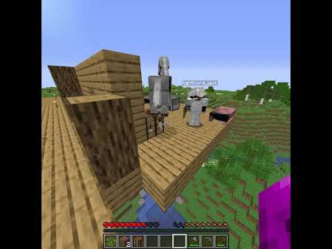 one big minecraft house in 1house smp