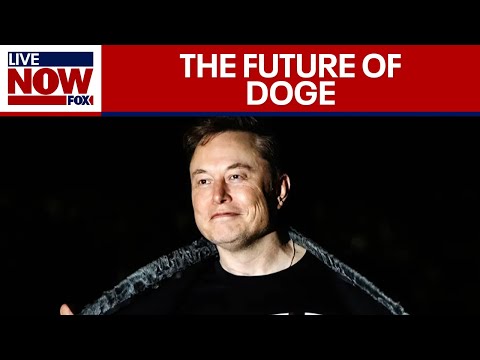 Full Hearing: Elon Musk Influence and DOGE Payment systems