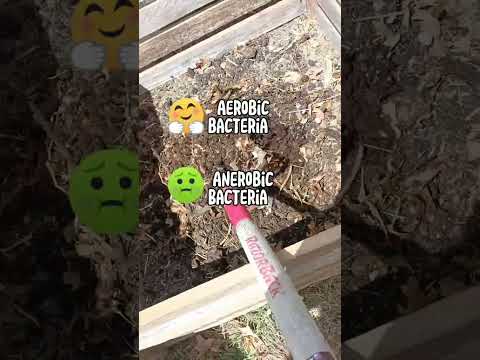 Composting for dummies: Part 3! Oxygen and the roll it plays in a good compost bin! #compost #garden