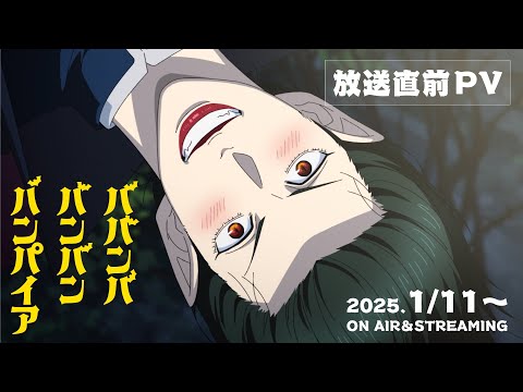 TVアニメ『ババンババンバンバンパイア』放送直前PV│2025年1月11日放送開始♨