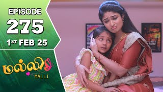 Malli Serial | Episode 275 | 1st Feb 2025 | Nikitha | Vijay | Saregama TV Shows Tamil