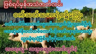 ဝက်သတ်သမားရဲ့ဝဋ်ကြွေး ဖြစ်ရပ်မှန်အသံဇာတ်လမ်း