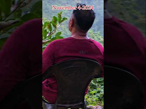 November rain Live &  relax #rain #nature #shorts #nepal