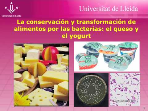 Biotecnologia UdL CAST