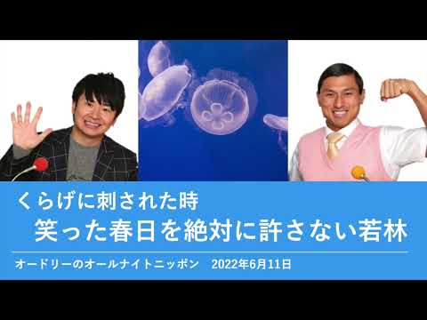 くらげに刺さった時笑った春日を絶対に許さない若林【オードリーのオールナイトニッポン】2022年6月11日