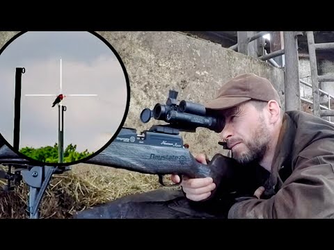 Corvid Control with the Daystate Huntsman Revere - Hard Impact!