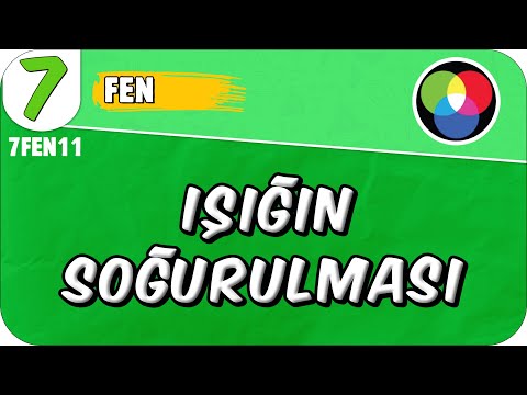 Işığın Soğurulması 📗 7FEN11 #2025