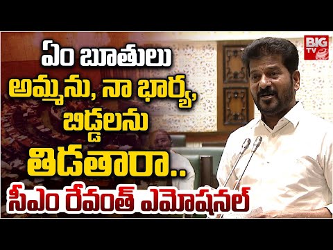 CM Revanth Reddy Emotional Speech in Assembly | అమ్మను తిడుతారా.. సీఎం రేవంత్ ఎమోష‌న‌ల్‌ | BIG TV