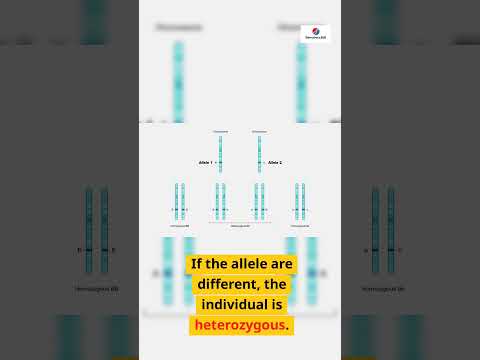 Allele #science #biology #dnafingerprinting