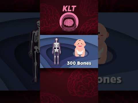 There Are 206 Bones In The Human Body! | KLT Anatomy #shorts