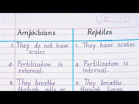 Difference between Amphibians and Reptiles