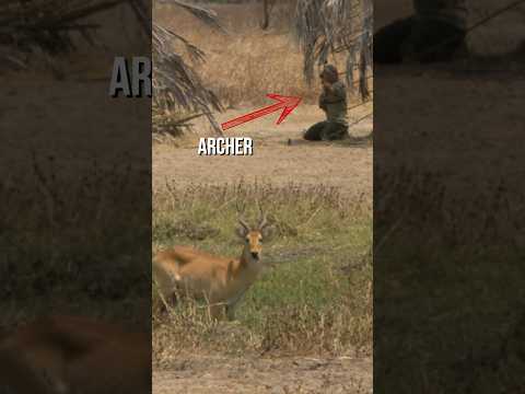 CRAZY Reverse Angle Archery Shot in Slow Motion! 🤯 #archery #slowmotion #amazing