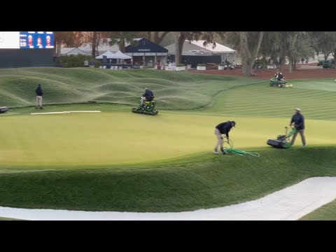 How the TPC Sawgrass grounds crew prepares for The Players Championship