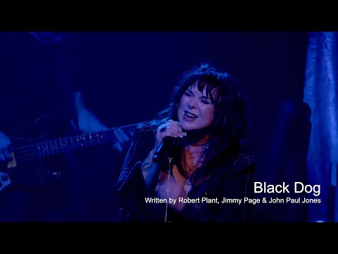 Ann Wilson - Black Dog (Live)