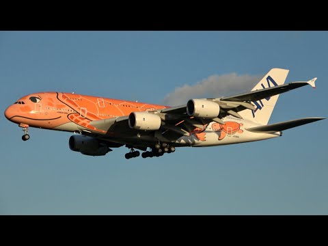 RWY 34L Tokyo Narita Int’l Airport Arrivals & Departures. Sunny Afternoon Planespotting in 4K Japan