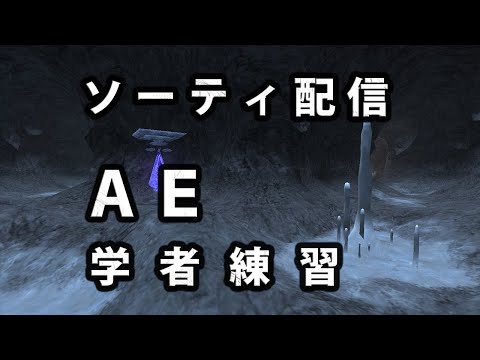 【FF11】ソーティ配信 AE学者練習3