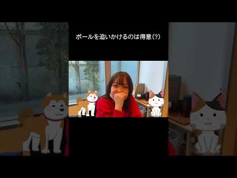 「歌ってみた」休憩時間の雑談風景