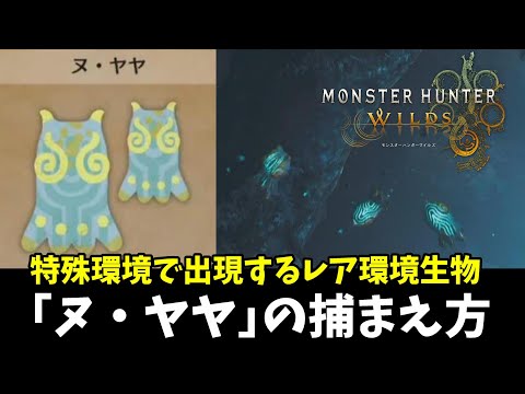 【モンハンワイルズ】レア環境生物「ヌ・ヤヤ」の入手方法！出現場所と条件などまとめ【MHWilds】