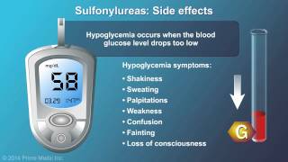 Treatment and Management of Type 2 Diabetes