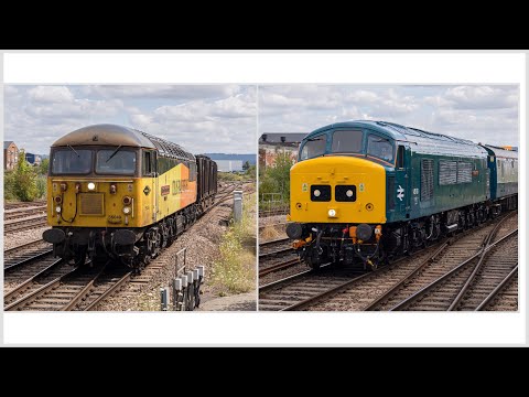 Interesting Movements at Gloucester 28/07/2024