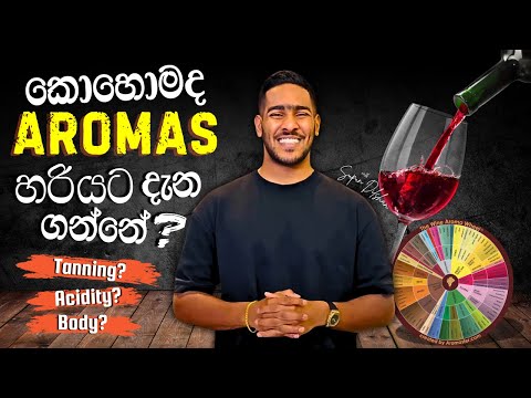 Mastering Wine Tasting: How to Identify Aromas Like a Pro | වයින් හරියටම රස විඳින හැටි