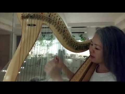 Rains of Castamere (Harp + Voice)