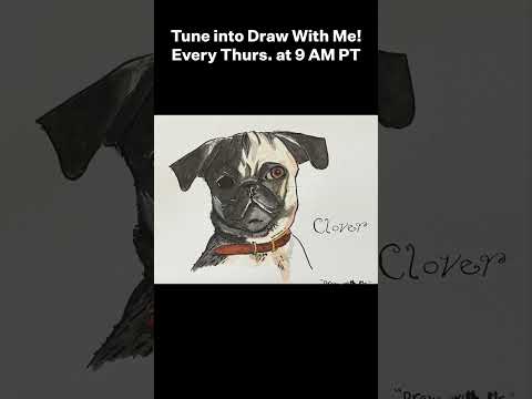 Last Week On Draw With Me: Pugs #sbsdrawwithme