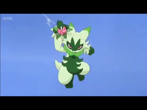 Pokemon Horizons - Sprigatito Evolves into Floragato English Dubbed