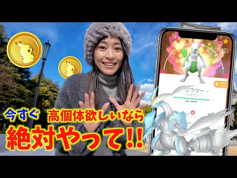 高個体欲しいなら今すぐやって！！旧正月イベント初日レポート【ポケモンGO】