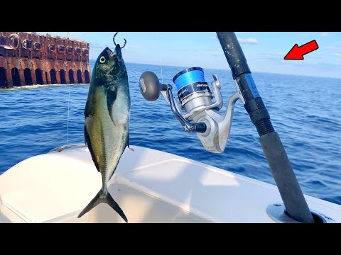 Dropped a Giant Bait Around a Shipwreck and Caught THIS! *Catch, Clean, & Cook