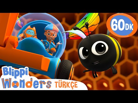 Blippi Arılarla Tanışıyor! 🐝 Bal Nasıl Yapılır? 🍯 | Blippi Türkçe - Çocuklar için Eğitici Videolar