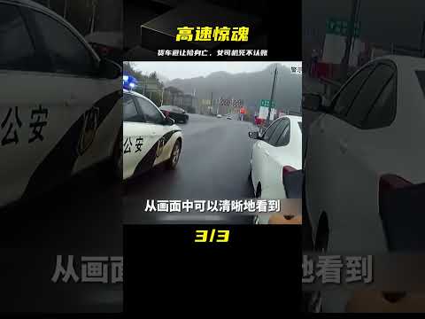 高速上變道之禍，貨車好心避讓險些喪命，事后司機死不認賬 #中国密探 #案件 #探案 #懸案 #懸疑