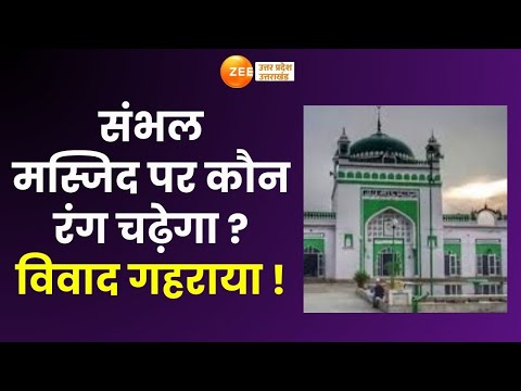 Sambhal : संभल मस्जिद पर कौन रंग चढ़ेगा ? पुताई के लिए दिल्ली से आई टीम | Jama Masjid |