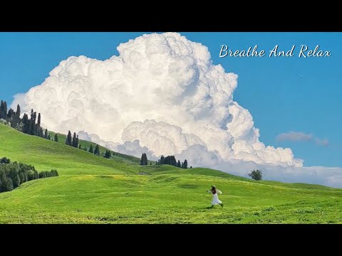 Soothing and Calming Music | Peaceful Sounds 24/7 | Nature Ambience & Relaxing Melodies