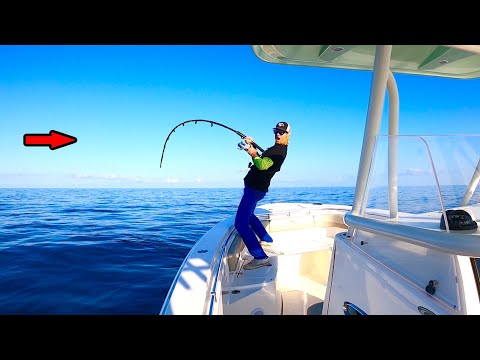 Catching & Cooking Massive Offshore Fish for 2 Hours!