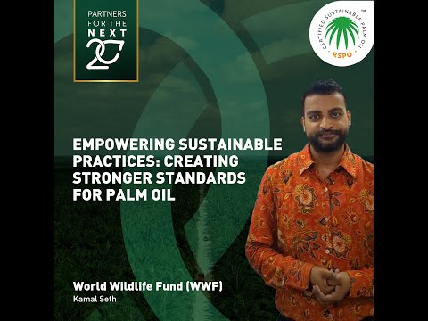 RSPO Insights | Empowering Sustainable Practices: Creating Stronger Standards for Palm Oil