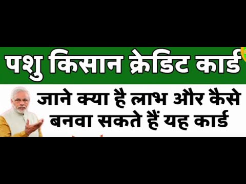 पशु किसान क्रेडिट कार्ड योजना 2021 |how to apply pashu kisan credit card yojana 2021 #sarkarkiyojana