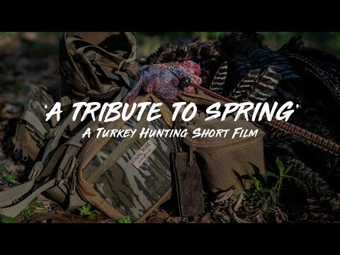 A Tribute to Spring - 4K Turkey Short Film