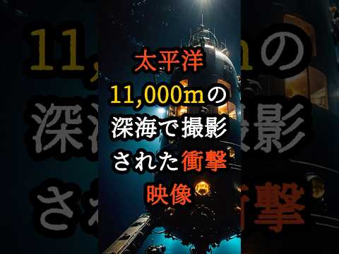 太平洋11,000mの深海で撮影された衝撃映像【 都市伝説 予言 オカルト スピリチュアル ミステリー 】