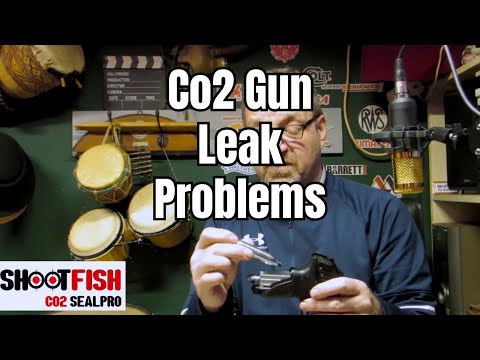 CO2 Airgun Gun Leaks Tips and Fixes