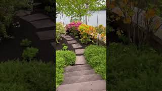 Flower path is popping! #summertime #summerflowers #landscapedesign #lakelife #newenglandgarden