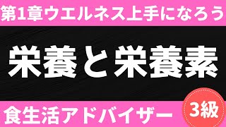 【2024-2025年版】ポイントは消化吸収のストーリー？食生活アドバイザー®︎3級対策講座〜ウェルネス上手になろう#1〜