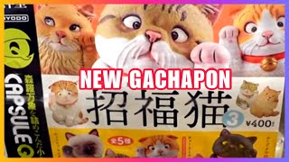 SO MANY NEW GACHAPON TO COLLECT!!!