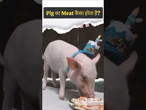 Eating Pig After 100 Days #hindi #truestory #shorts