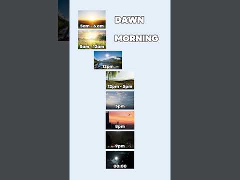 From Dawn to Dusk Watch Nature Change Before Your Eyes!