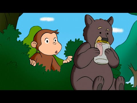 George Meets A Bear 🐻🐵 Curious George 🐵 Animal Friends