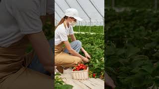 The Secret Weapon of Successful Gardeners 🌱 | FARM TIPS 💡| JOIN US 🔔|  #futurefarming   #polytunnel